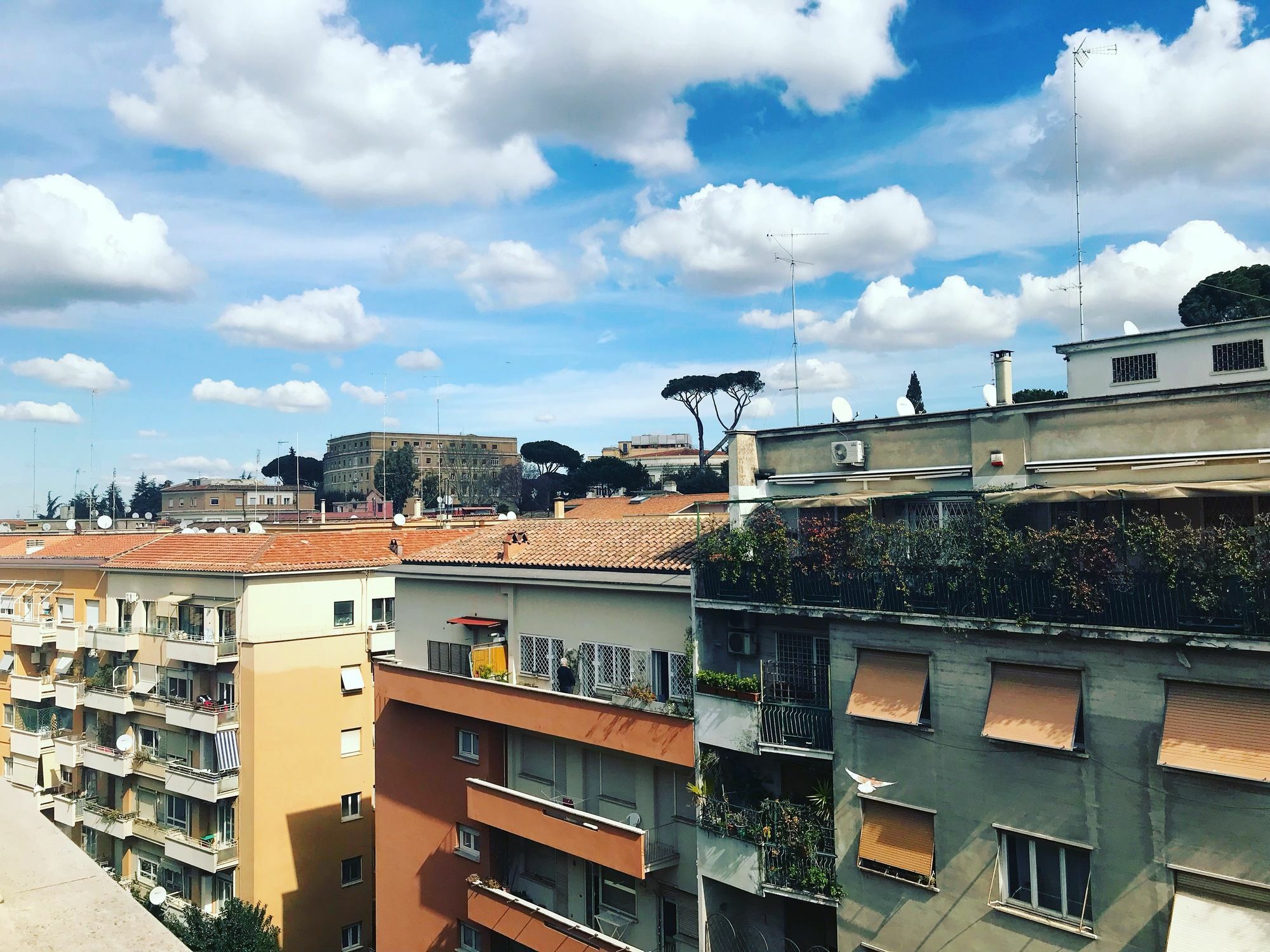 Charming Vatican ローマ エクステリア 写真